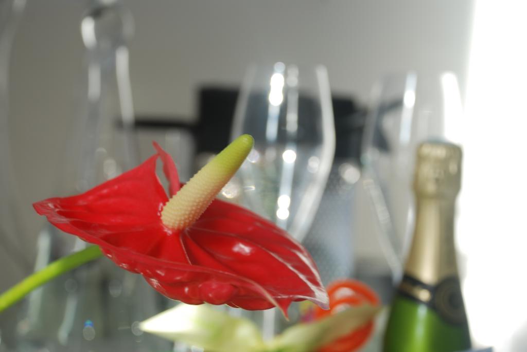 Appartement Prado Borely Marsilya Oda fotoğraf